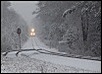 ghool_20090301_178.jpg