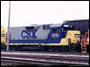 csx_2313.jpg