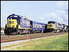 csx_6025.jpg