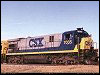 csx_7035.jpg