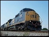 csx_7318.jpg